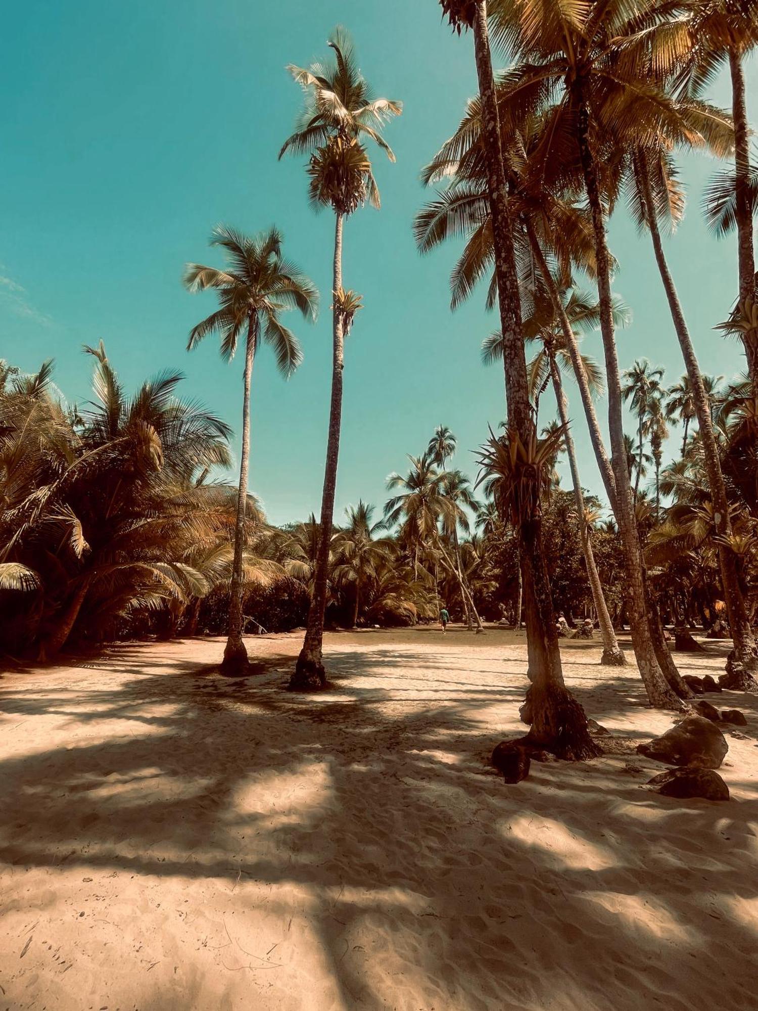Hotel Sol Y Mar ซานตากาตาลีนา ภายนอก รูปภาพ